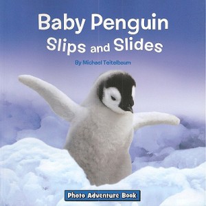Baby Penguins Slips and Slides